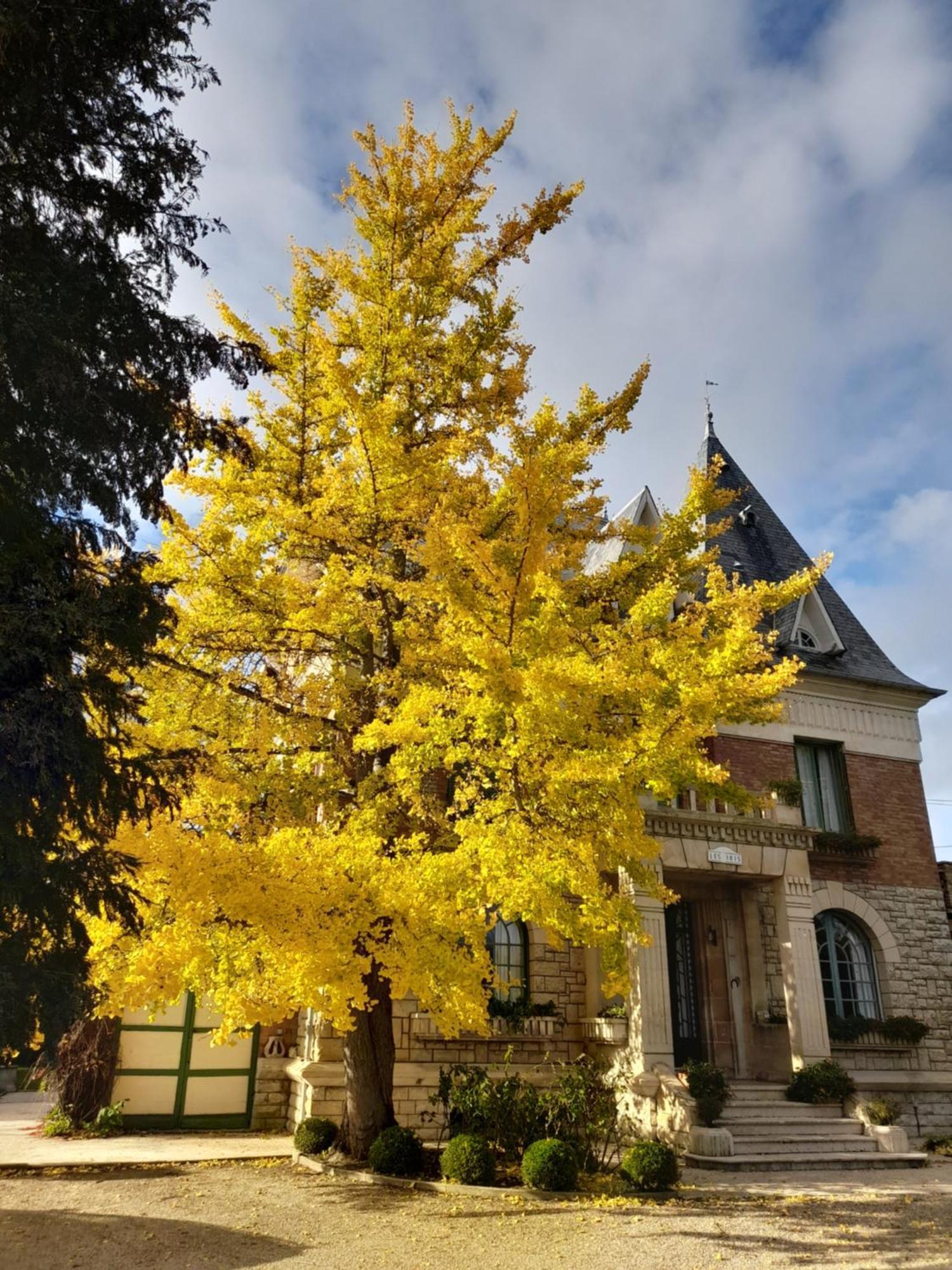 Villa Les Iris Saint-Félix Exterior photo